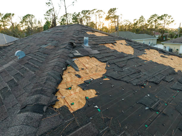 Best Slate Roofing  in Bremen, IN